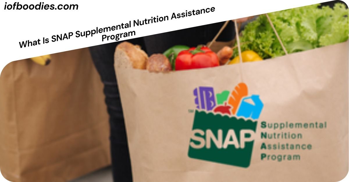 What Is SNAP Supplemental Nutrition Assistance Program