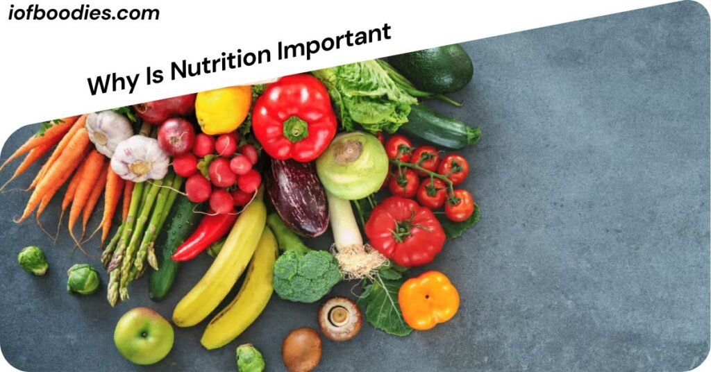 Why Is Nutrition Important