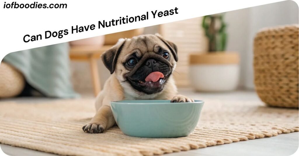 Can Dogs Have Nutritional Yeast