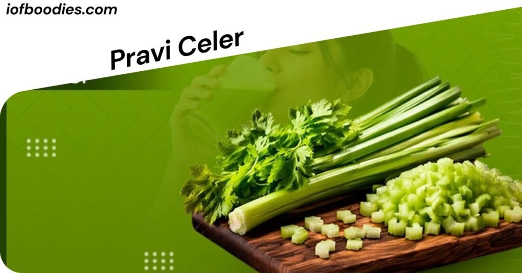 Pravi Celer