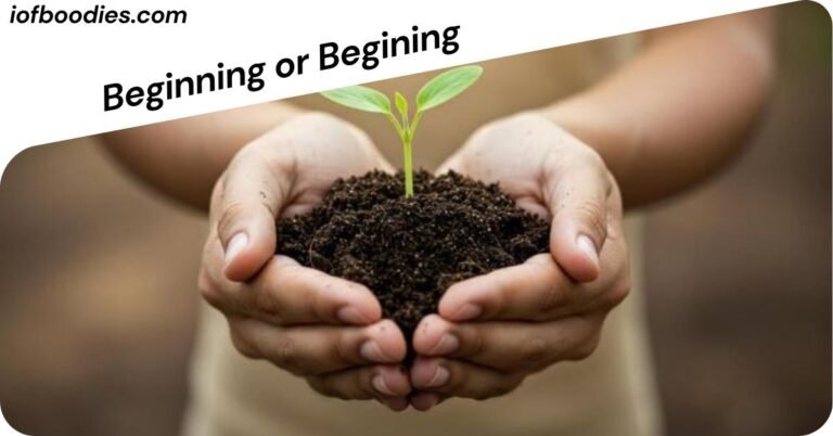 Beginning or Begining
